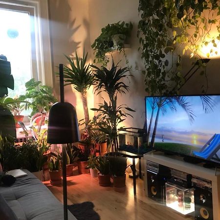 Апартаменти Urban Jungle Oasis In Queens! Нью-Йорк Екстер'єр фото
