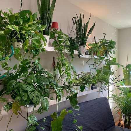 Апартаменти Urban Jungle Oasis In Queens! Нью-Йорк Екстер'єр фото