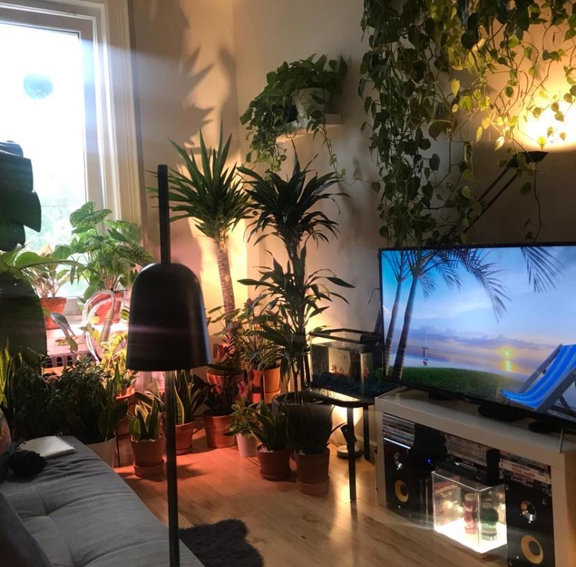 Апартаменти Urban Jungle Oasis In Queens! Нью-Йорк Екстер'єр фото