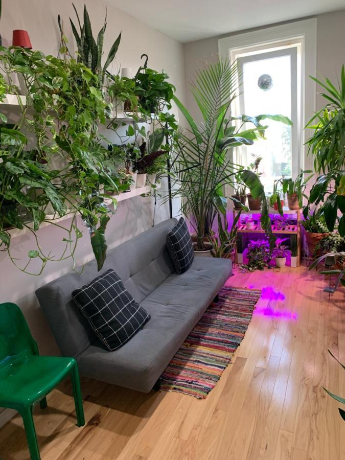 Апартаменти Urban Jungle Oasis In Queens! Нью-Йорк Екстер'єр фото