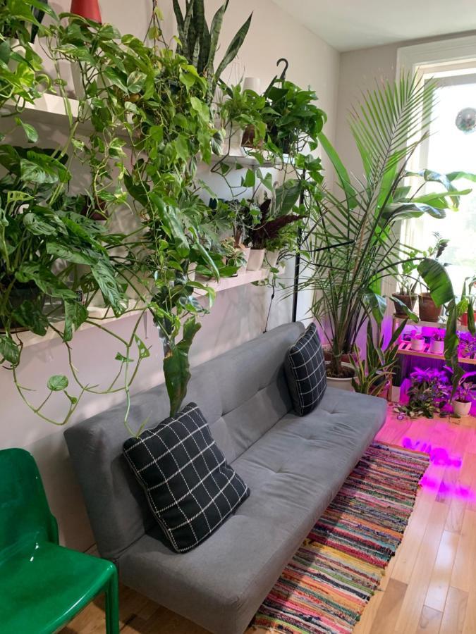 Апартаменти Urban Jungle Oasis In Queens! Нью-Йорк Екстер'єр фото