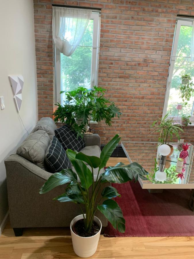 Апартаменти Urban Jungle Oasis In Queens! Нью-Йорк Екстер'єр фото