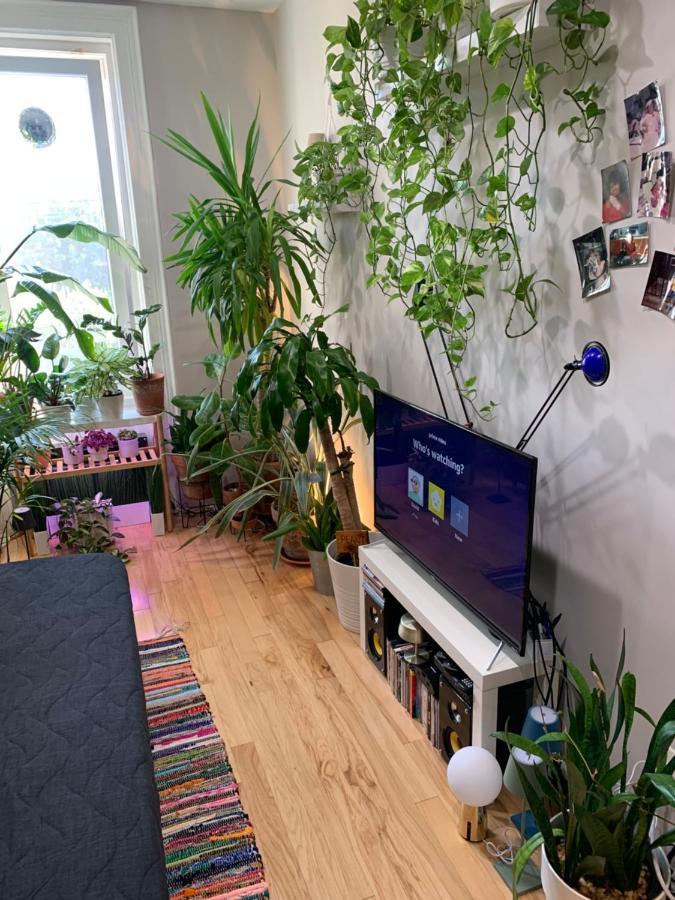 Апартаменти Urban Jungle Oasis In Queens! Нью-Йорк Екстер'єр фото